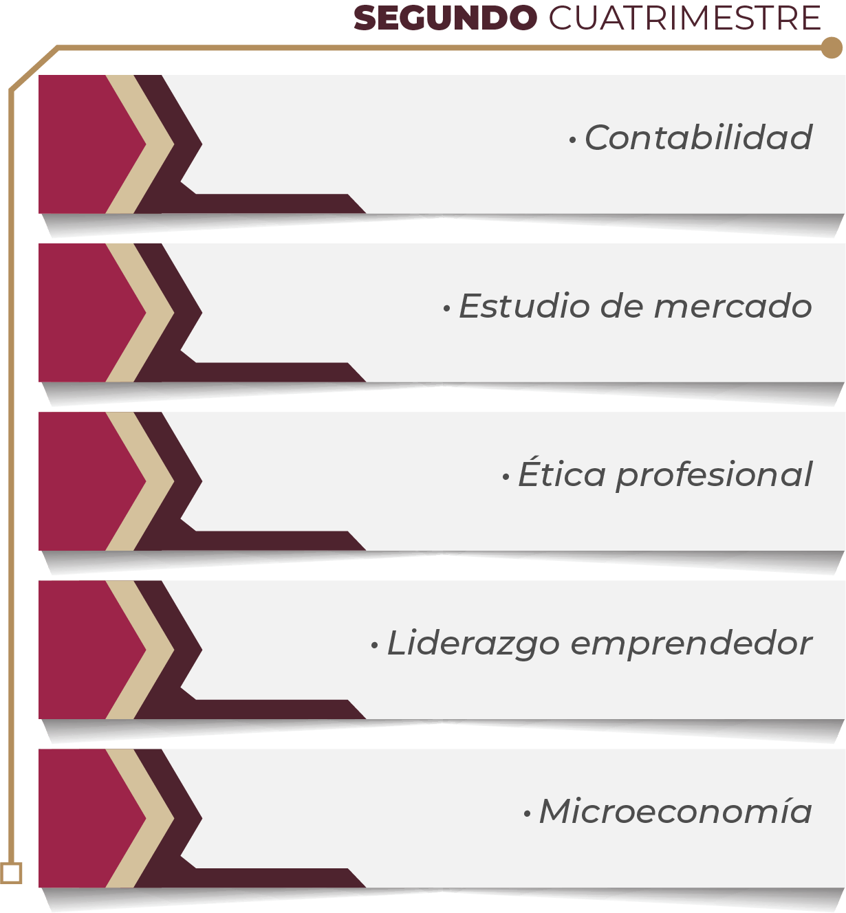 MAPA CURRICULAR GESTIÓN